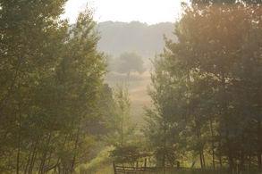 Hilly Haven Farm - Country Homes for sale and Luxury Real Estate in Caledon and King City including Horse Farms and Property for sale near Toronto